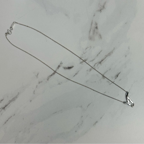 Tiffany & Co x Paloma Picasso Capricorn Necklace Pendant Combo - Picture 11 of 13